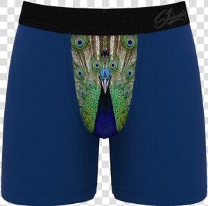Blue Peacock Pattern Ball Hammock Boxer Brief   Board Short  HD Png Download
