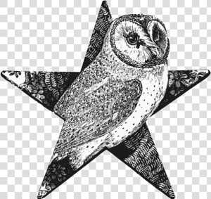 Barn Owl Barnstar   Thomas Bewick Animals  HD Png Download