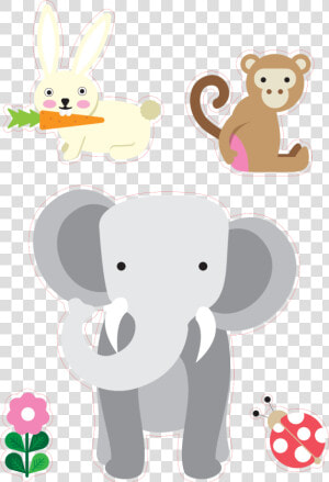 Gift Matching Zoo Animals Personalised Height Growth  HD Png Download