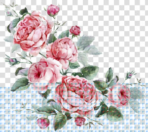 Flowers Stickers Transparent Aesthetic Cute Filter   Aesthetic Transparent Flowers  HD Png Download
