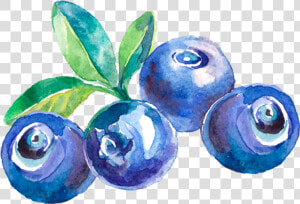 Transparent Fruta Png   Custom Blueberry Wine Labels  Png Download