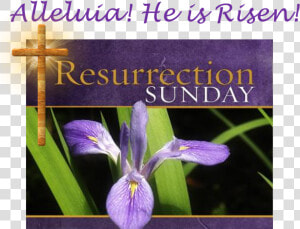 Wishing A Blessed Resurrection Sunday  HD Png Download