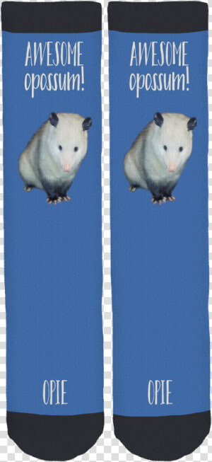 Hamster  HD Png Download
