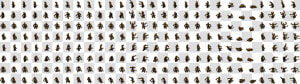 Werebear 0   Soldier Sprite Sheet Isometric  HD Png Download