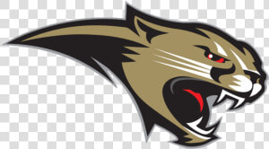 Cougar Png  Transparent Png