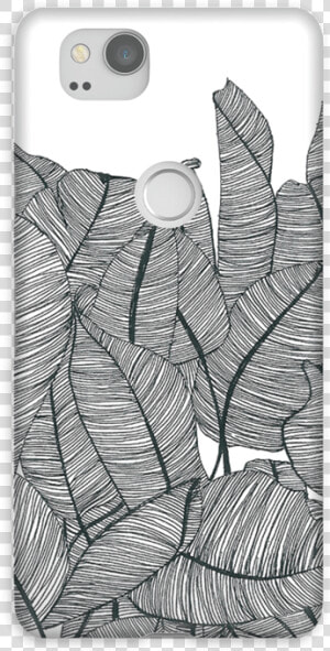 Banana Leaves Case Pixel   Iphone  HD Png Download