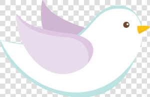 Pombinha Branca Em Png  Transparent Png