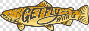 Get Fly With G Brown Trout   Trout  HD Png Download