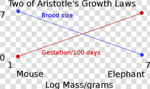 Two Of Aristotle S Growth Laws   Aristotle Experiment  HD Png Download