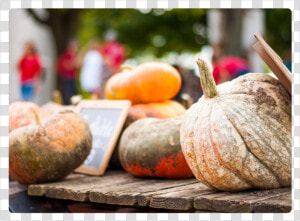 Pumpkins 3   Pumpkin  HD Png Download