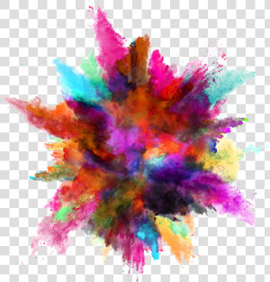 Colours On White Background  HD Png Download