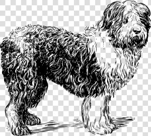Dogs Clipart Black And White   Sheep Dog Clipart Black And White  HD Png Download