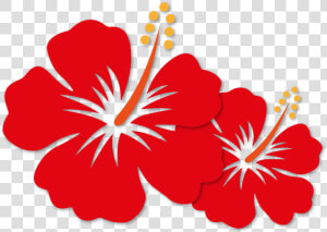 Transparent Bunga Png   Cartoon Hibiscus Png  Png Download