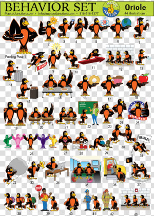Oriole Mascot Clip Art Behavior   Cartoon  HD Png Download