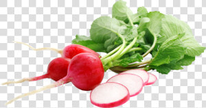 Radish Png   Raphanus Sativus Png  Transparent Png