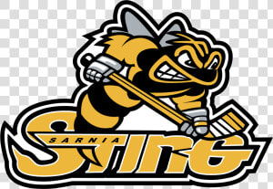 Sarnia Sting Logo  HD Png Download