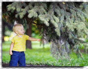 Placeholder Image   Toddler  HD Png Download
