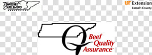Bqa Certification   Calligraphy  HD Png Download