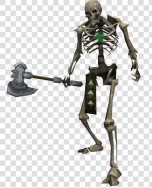 Skeleton Png Clipart   Png Download   Skeleton Png  Transparent Png
