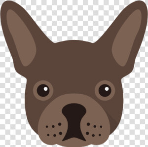 Companion Dog  HD Png Download