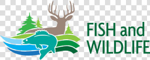 Fish And Wildlife   Deer Tag Ontario 2019  HD Png Download