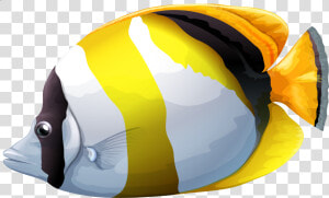 Chaetodon Butterfly Fish Png Clipart   Tropical Fish Transparent Background  Png Download