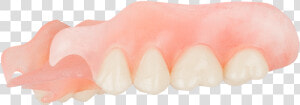 Toothbrush  HD Png Download
