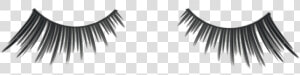 Smiink Lashes   Magical Lines   Eyelash Extensions  HD Png Download
