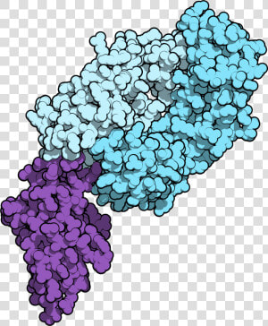 Nivolumab 5ggr   Nivolumab Pdb  HD Png Download