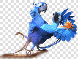 Desenho Arara Azul Filme Rio  HD Png Download