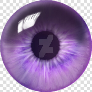 Purple Swirl Eye Finished   Silver Eye Png  Transparent Png