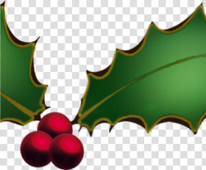 Christmas Holly Clipart Clipart Christmas Holly Clipart   Christmas Holly  HD Png Download