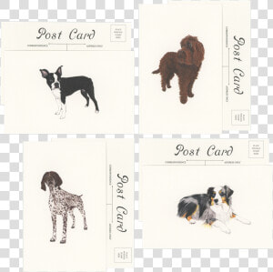 Transparent Postcard Stamp Png  Png Download