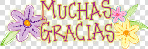 Gracias Png  Transparent Png