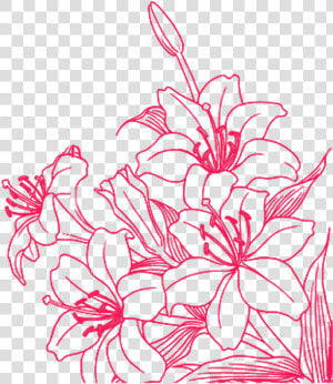 Aesthetic Photos Transparent Backgrounds  HD Png Download