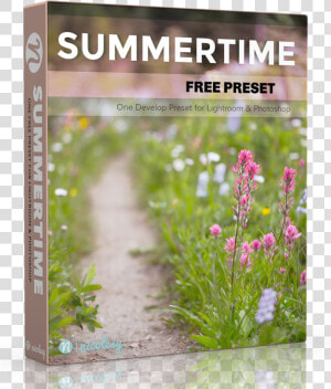 Free Lightroom Preset  HD Png Download