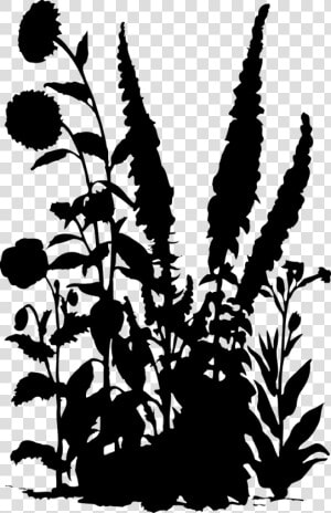 Transparent Flowers Silhouette Png   Transparent Flower Silhouette Png  Png Download