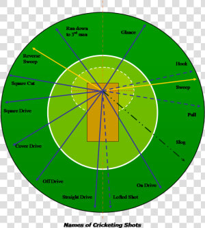 File   Cricketshotsmswd   Cricket Shot Selection Chart  HD Png Download