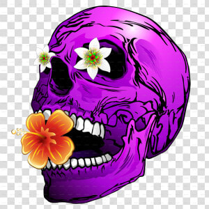 Banner Stock Psychedelic Vector Skull   Skull In Flower Png  Transparent Png