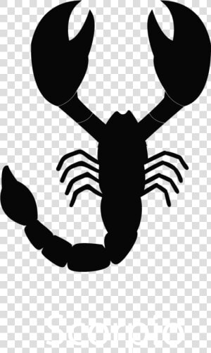 Homarus  HD Png Download