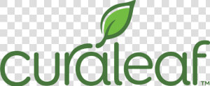 Marijuana Leaf Vector Png   Curaleaf Logo Png  Transparent Png