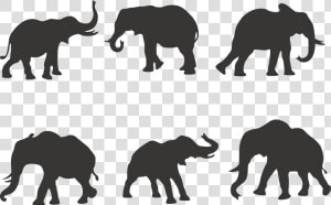 African Elephant Silhouette Indian Elephant   6 Elephant  HD Png Download
