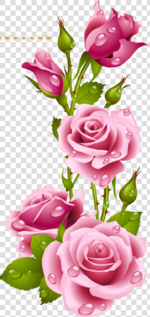 Bunga Mawar Pink Png  Transparent Png