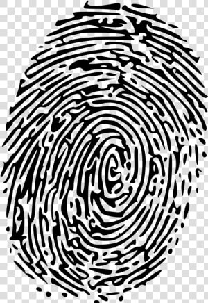 Fingerprint Clipart Similar   Finger Printing  HD Png Download