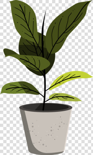 Adobe Illustrator Plants  HD Png Download