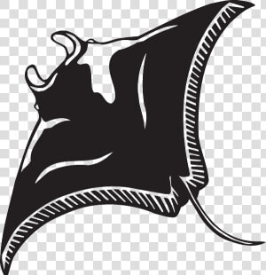 Clip Art Manta Ray Illustration  HD Png Download