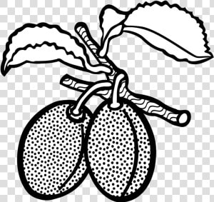 Line Art Plum Drawing Computer Icons Fruit   White And Black Clipart Fruits Plum  HD Png Download