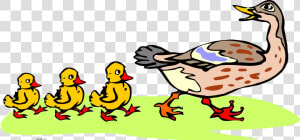 Baby Duck Clip Art And Babies Png  Transparent Png