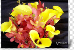 Gracias thank You Greeting Card   Bouquet  HD Png Download