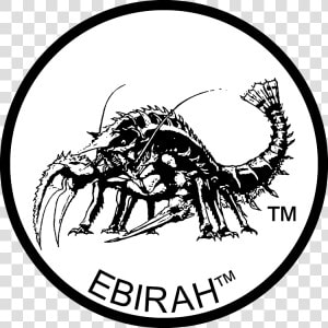 Toho Logo Png  Transparent Png